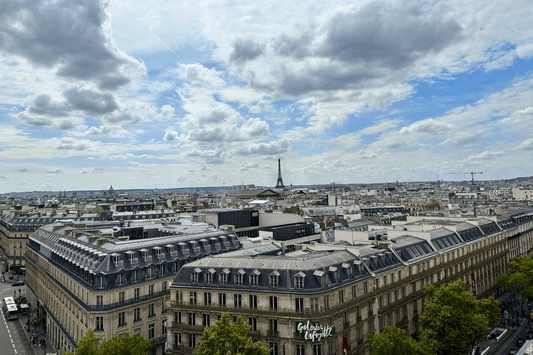 The Kimpton St Honoré Hotel In Paris, France - The 124 Society